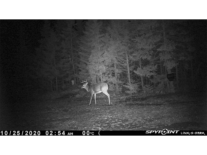 spypoint trail camera accessories