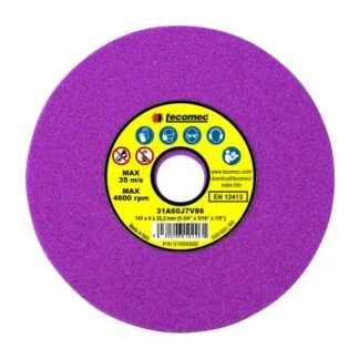 Tecomec Grinding Disk- for Rakers