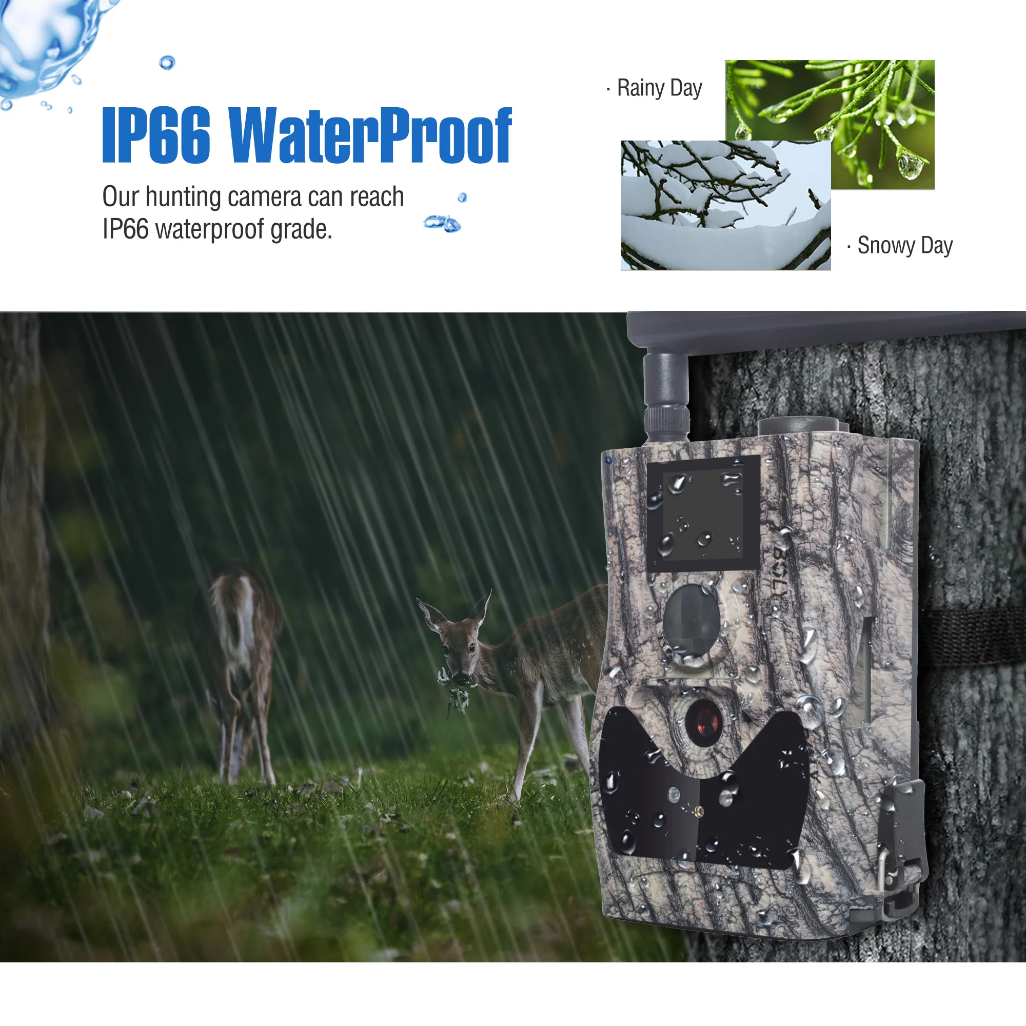 Boly BG584 4G Wireless Trail Camera - Image 9