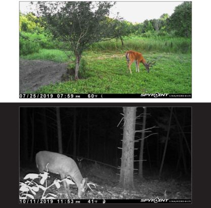 Spypoint Link-Micro Solar 4G Trail Camera - Image 5