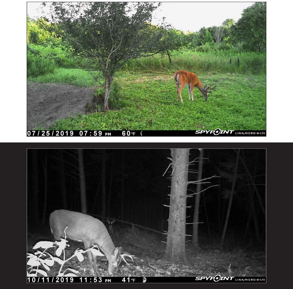 Spypoint Link-Micro Solar 4G Trail Camera - Image 5